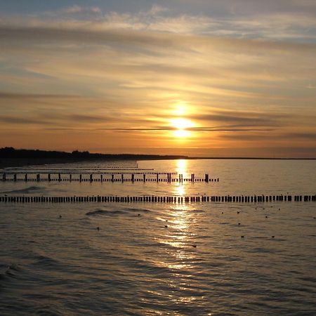 Wohnung 9 Meer-Ruhe Im Haus Stranddistel Komfortable Ferienwohnung Im 1 Og Fuer 4 Personen In Zingst Bagian luar foto